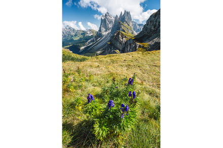 Seceda peaks. Trentino Alto Adige, a Nature Photo by Igor Tichonow