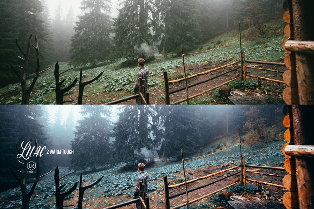 Lilac - 64 Presets for LR & ACR preview 3