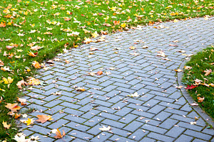 Pavement in autumn, a Nature Photo by BOOCYS