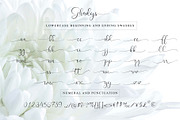 Ghadys - Classic Handwritten, a Script Font by erlosDESIGN (Thumbnail 12 of 12)