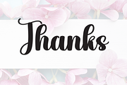 Magnolia | Script Font, a Handwritten Font by Scratchones (Thumbnail 9 of 9)