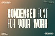 Gendar - Condensed Font Family, a Sans Serif Font by Pandeka Studio (Thumbnail 4 of 12)