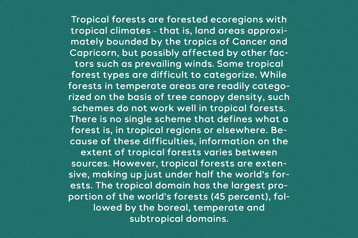 Tropical Sunday - Vintage Sans Serif, a Sans Serif Font by Mikhail Kitsune (Photo 2 of 8)