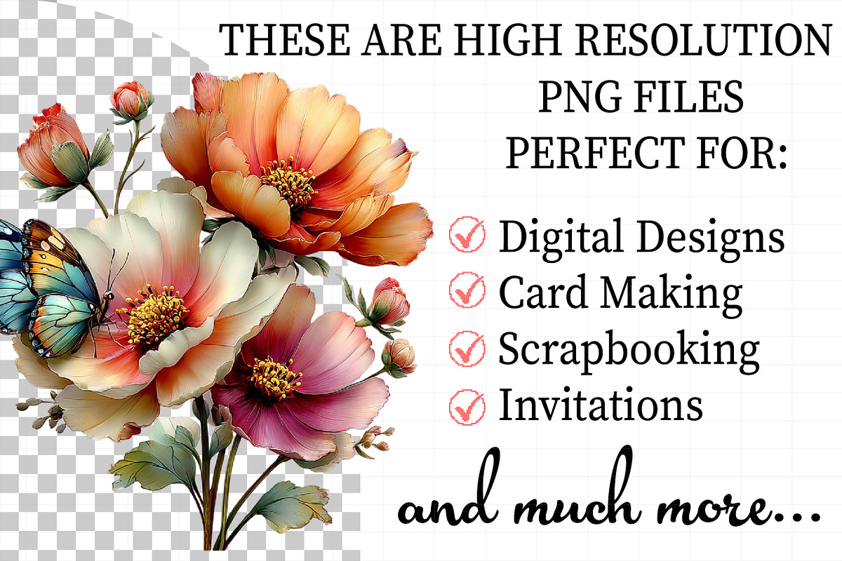 Spring Cosmos Flower Clipart Bundle, an Illustration by Daily.Designs (Photo 2 of 8)