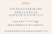 Mailton Typeface, a Serif Font by alit design (Thumbnail 11 of 23)