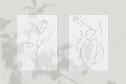 Minimalist Tulip Line Sketches, a Decorative Illustration by Galerie Design Studio (Thumbnail 5 of 7)