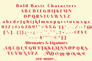 VOGUER Sans family, a Sans Serif Font by NREY (Thumbnail 5 of 7)