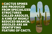 Crunold Font, a Sans Serif Font by trustha (Thumbnail 9 of 12)