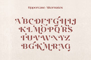 Nalisa Font - Modern beauty font, a Sans Serif Font by creativemedialab (Thumbnail 5 of 10)