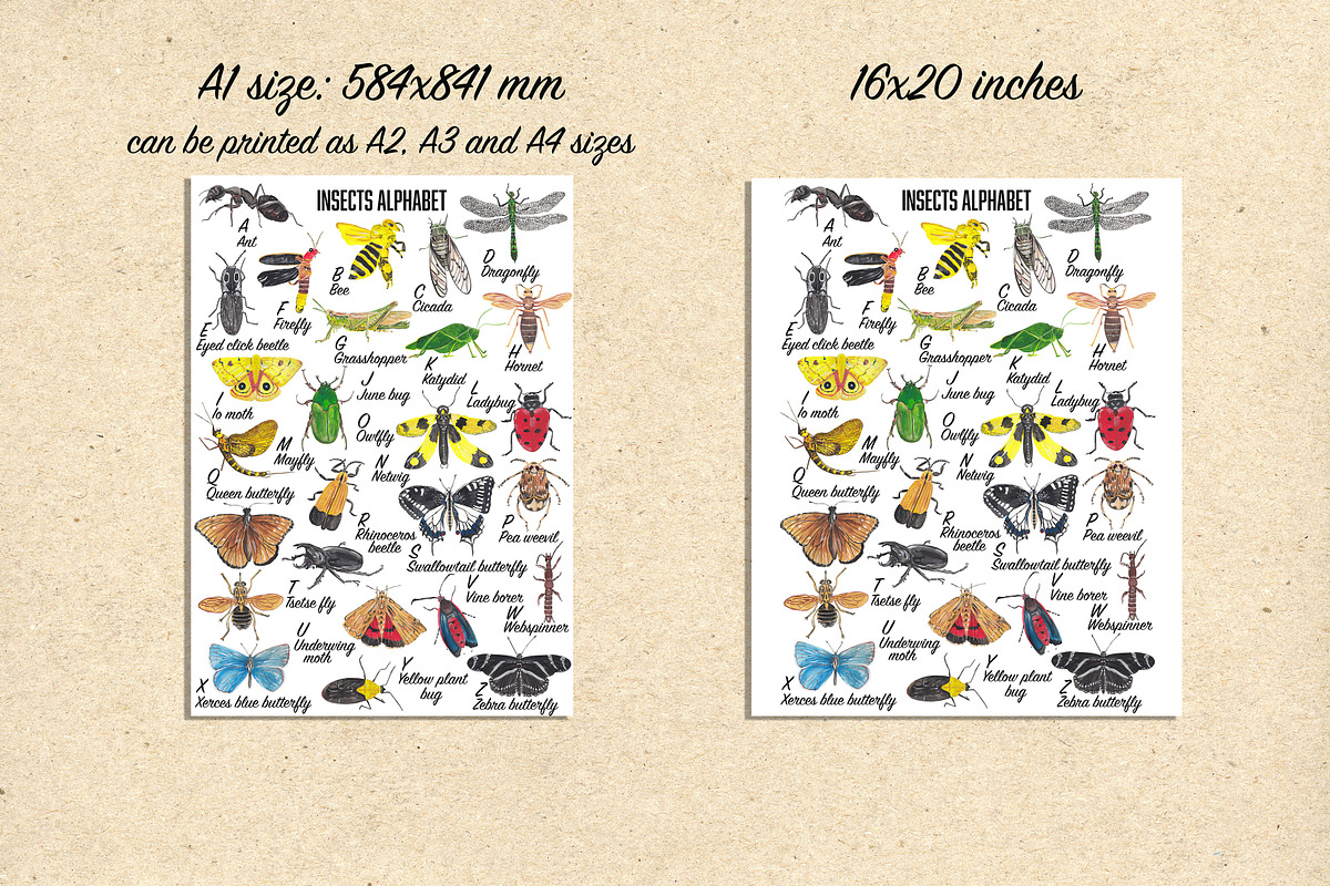 Insects Alphabet & clipart, an Animal Illustration by Visual Animal (Photo 5 of 5)