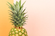 Orange Wellness Bundle, a Health & Medical Photo by Wellness Stock Market (Thumbnail 11 of 20)