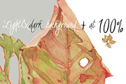 0405 Indian Summer, a Work Illustration by watercolorwild.graphics (Thumbnail 5 of 9)