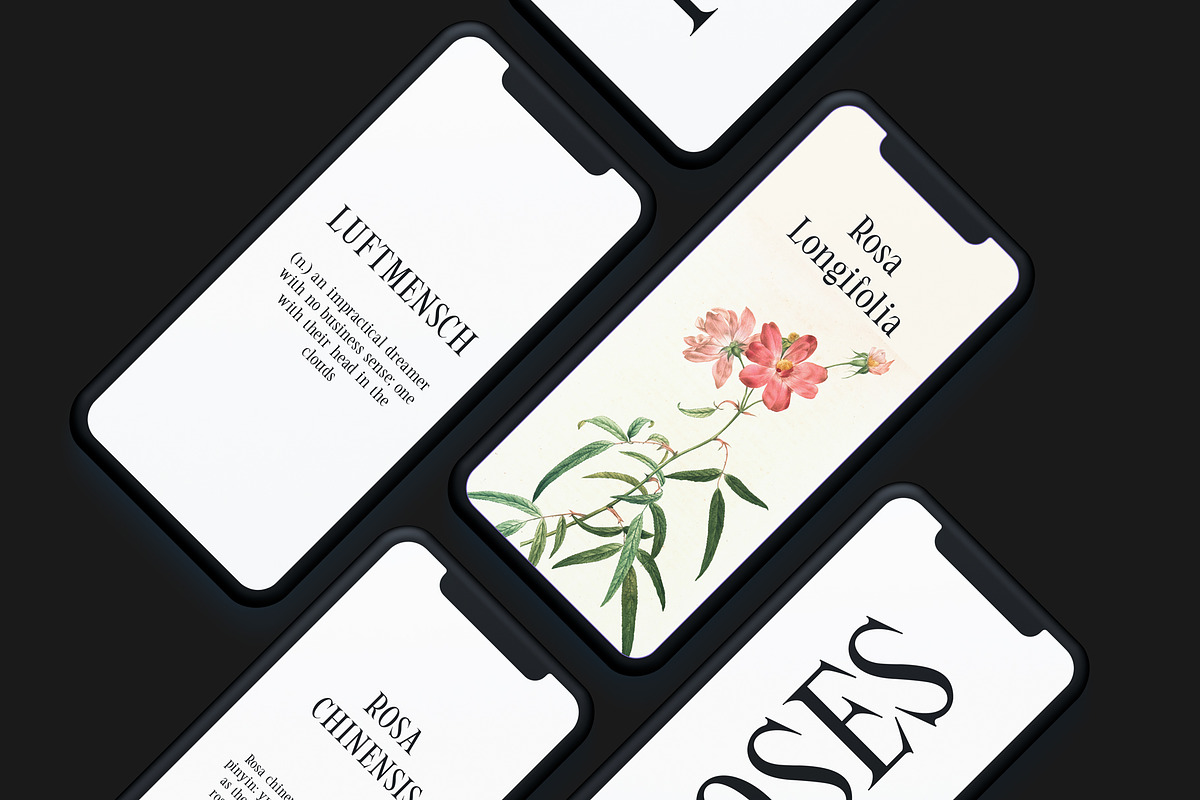 ED Candytuft, a Serif Font by Emyself Design (Photo 3 of 12)