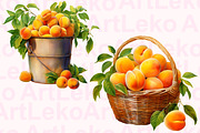Apricots Watercolor Clipart, a Food Illustration by LekoArt (Thumbnail 7 of 10)