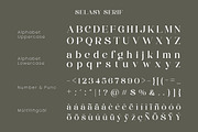 Selasy - New Modern Font, a Serif Font by roomspace creative lab (Thumbnail 7 of 9)