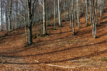 Landscape of Tuscan Emilian Apennines In Ventasso, Italy, a Nature Photo by Bepslabor