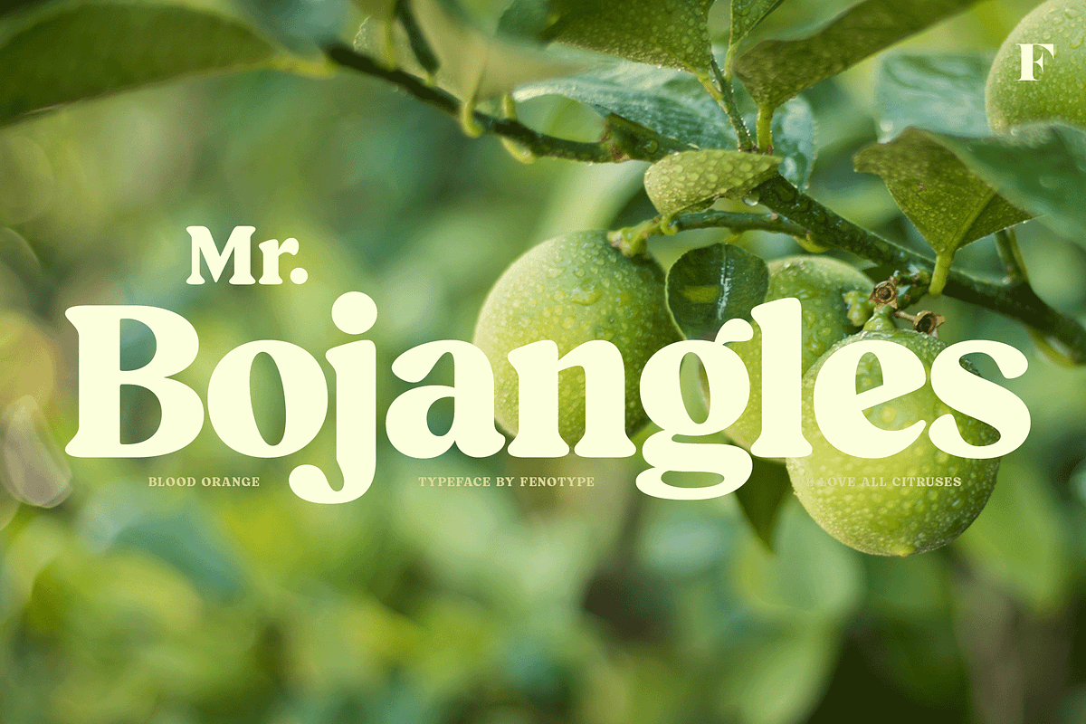 Blood Orange Vintage Serif, a Serif Font by Fenotype (Photo 8 of 16)