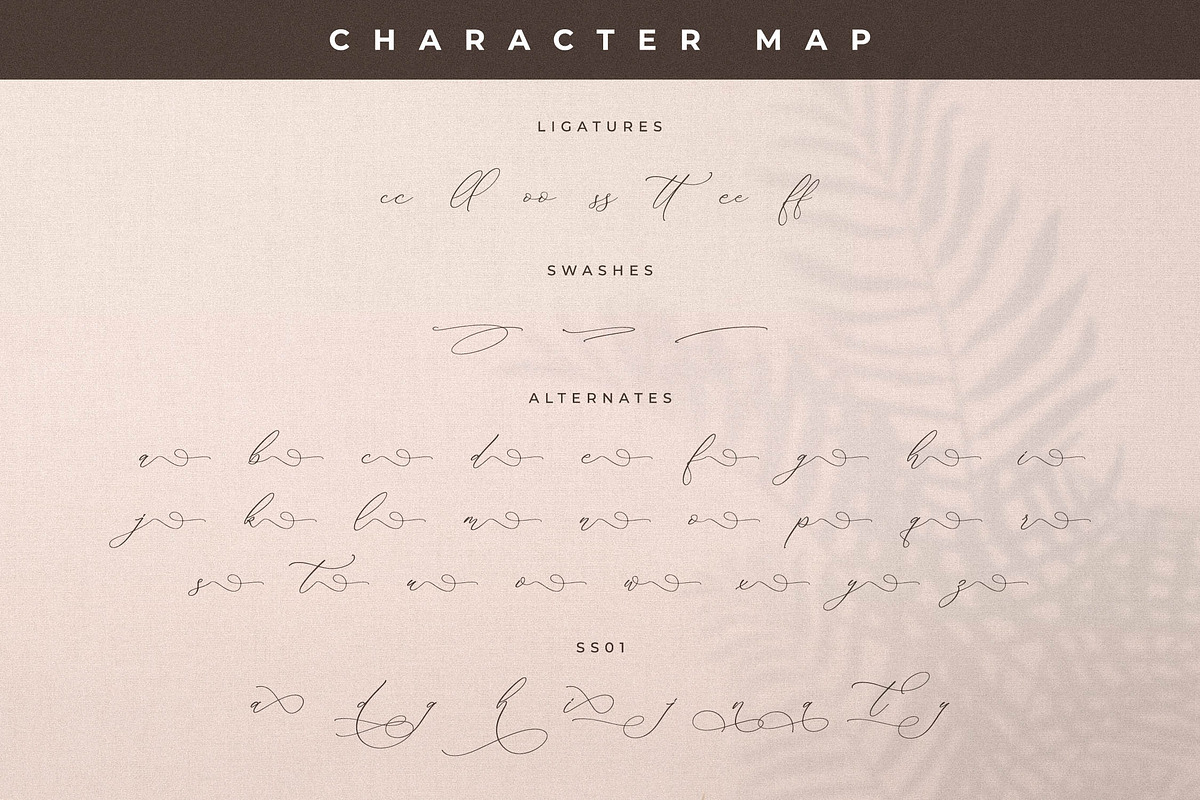 Storyline Regario Font Duo, a Serif Font by Storytype Studio (Photo 14 of 15)