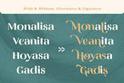 Vittasoa – Modern Display Typeface, a Serif Font by Almarkhatype (Thumbnail 14 of 15)