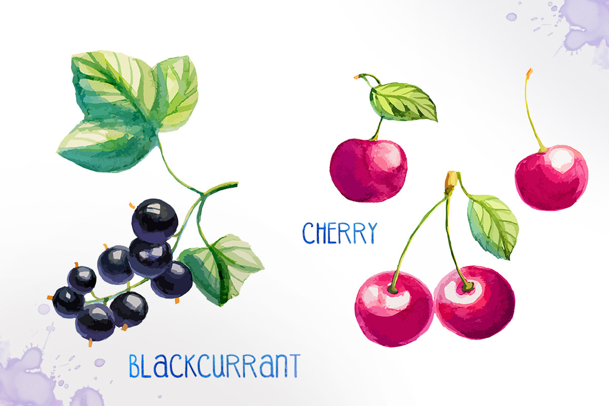 Watercolor berries, an Illustration by AlexGreenArt (Photo 3 of 4)