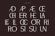 Andore - Elegant Modern Serif Font, a Serif Font by Pekotype (Thumbnail 6 of 15)