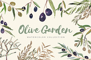 Olive Garden Watercolor Collection, an Illustration by Spirit of Colors (Thumbnail 1 of 6)