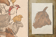 Farm Animals Set, an Object Graphic by Siosay (Thumbnail 3 of 12)