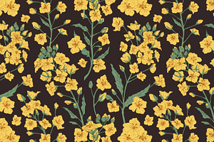 Rapeseed Flowers Seamless Patterns