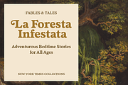 Fedro - 14 Fonts, a Serif Font by Nasir Udin (Thumbnail 13 of 20)