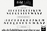 Bold Lady Font duo, a Serif Font by HowJoyful  (Thumbnail 3 of 6)