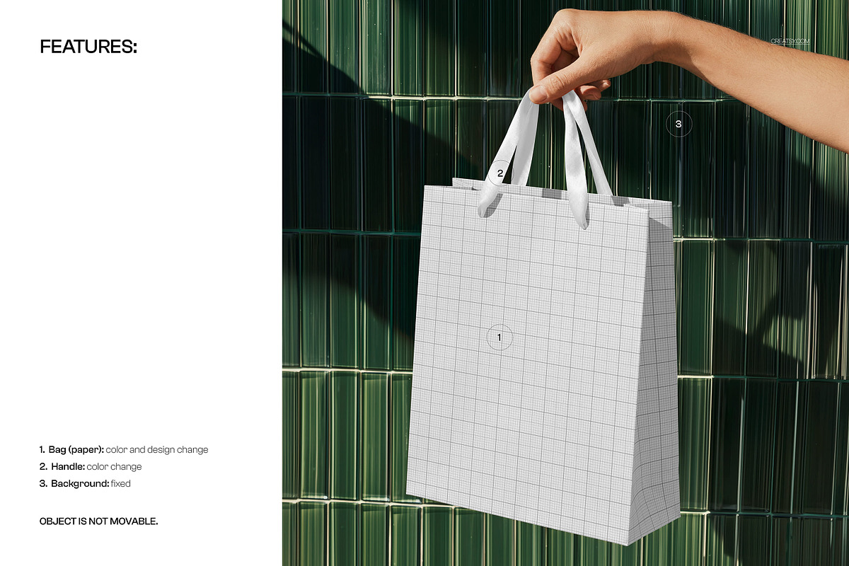 Shopping Bag in Hand Mockup, a Packaging Mockup by creatsy5 (Photo 3 of 5)