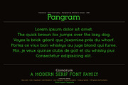 Coinarum - Serif font family, a Serif Font by Artistic & Unique (Thumbnail 12 of 12)