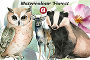 Watercolor Animal And Forest, an Illustration by DreamCafeArt (Thumbnail 1 of 7)