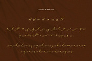 Selonika – Handwritten Script Font, a Handwritten Font by BrandSemut (Thumbnail 11 of 11)