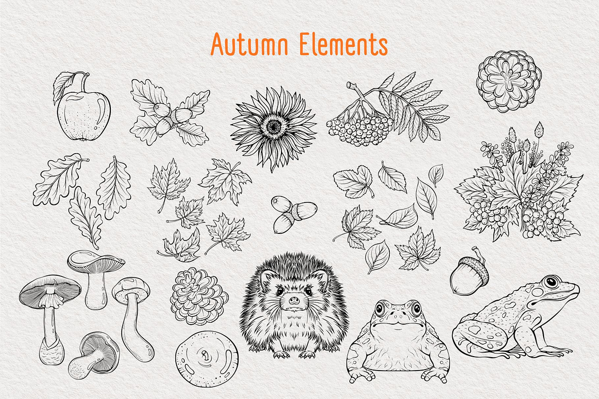 Cozy Autumn Vector Collection, a Seasonal Illustration by ennona_art (Photo 2 of 10)
