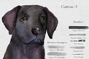 Acquarello Wet Procreate Brushes, a Brush Add-On by KJP Designs (Thumbnail 9 of 10)