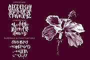 Syahdu Font, a Script Font by Kreasi Malam (Thumbnail 2 of 4)