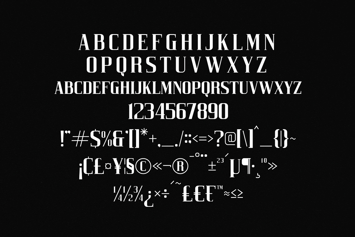 Heaven Mine Modern Serif Font, a Serif Font by Storytype Studio (Photo 13 of 15)