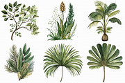 Watercolor Palm Tree Clipart, an Illustration by Libby Wishes (Thumbnail 7 of 7)