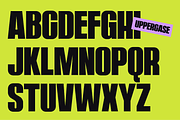 Ventora Black, a Sans Serif Font by Brand_Hero (Thumbnail 12 of 13)