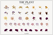 The PLANT. Autumn collection, a Pattern Graphic by NKTN (Thumbnail 5 of 18)