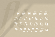 Journey – Aesthetic Serif Font, a Serif Font by Hamz Studio (Thumbnail 14 of 20)