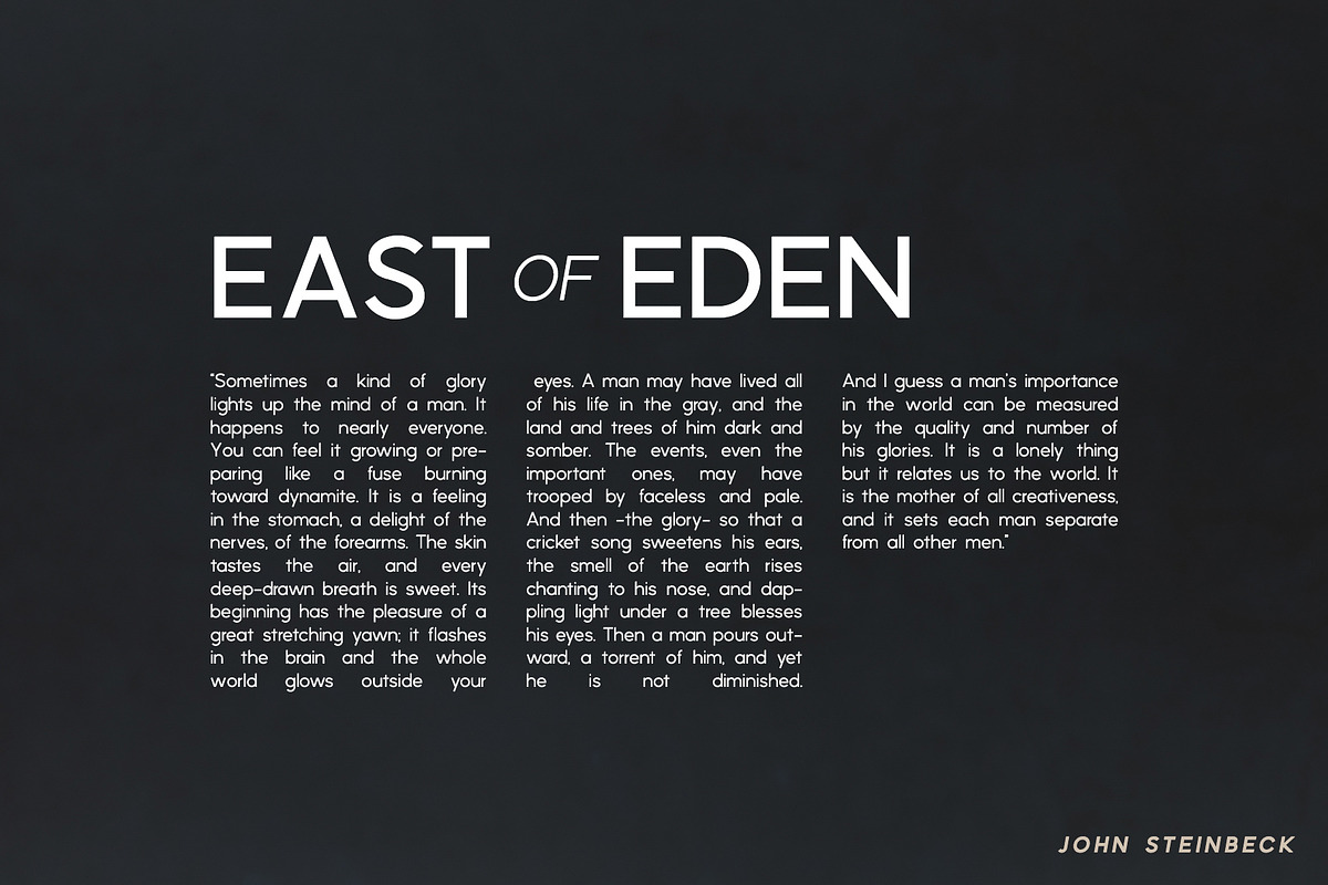 Phoenix | A Multi-Weight Sans, a Sans Serif Font by Jen Wagner Co (Photo 9 of 13)