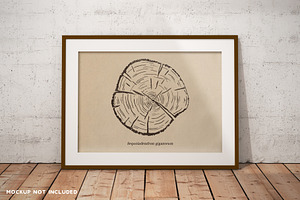 Tree Growth Rings Illustrations