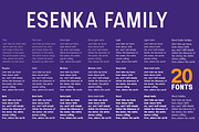 Esenka, a Sans Serif Font by Differentialtype (Thumbnail 6 of 12)