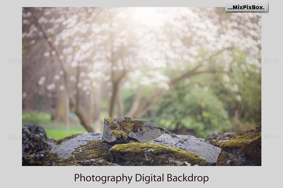 Spring Digital Backdrop, a Graphic by MixPixBox