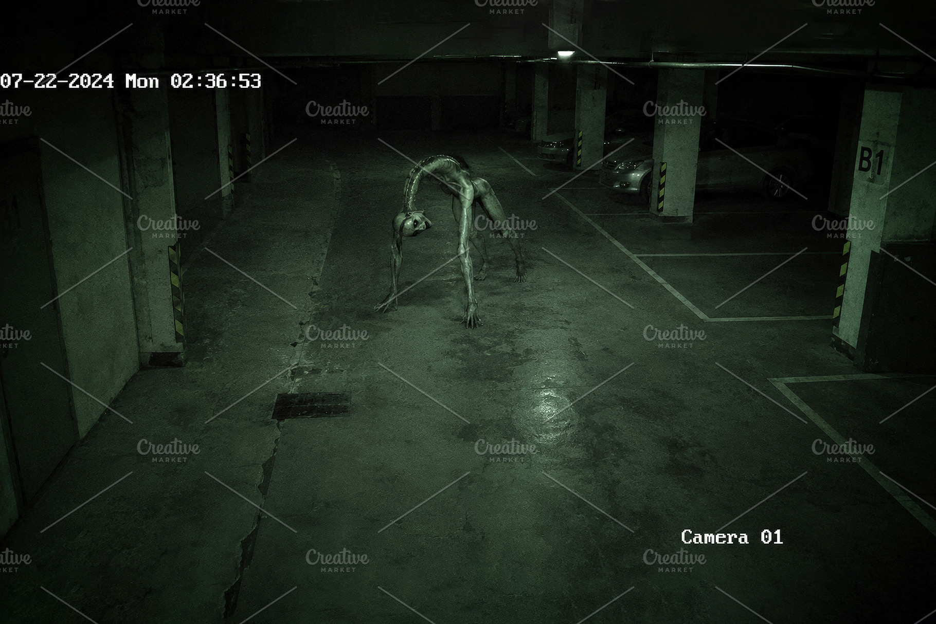 Creature Crawling Underground Garage, an Animal Photo by Hamza067