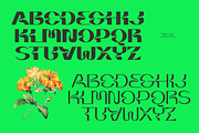 Briar - Fluid Variable Typeface, a Sans Serif Font by Barrett Reid-Maroney (Thumbnail 4 of 10)