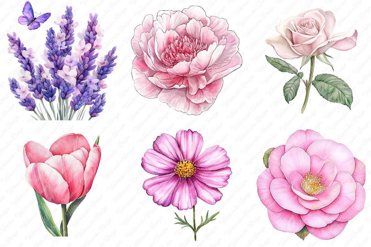 Lavender & Pink Flowers Watercolor, an Illustration by Watercolor design (Photo 4 of 13)