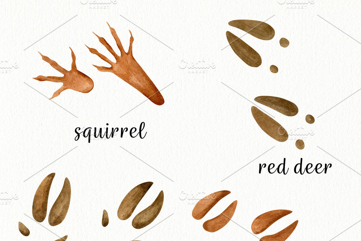 Watercolor Forest Animals Clipart, a Graphic by svetodesign (Photo 10 of 12)